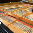 2005 Yamaha C7 conservatory grand, 7'6 - Grand Pianos